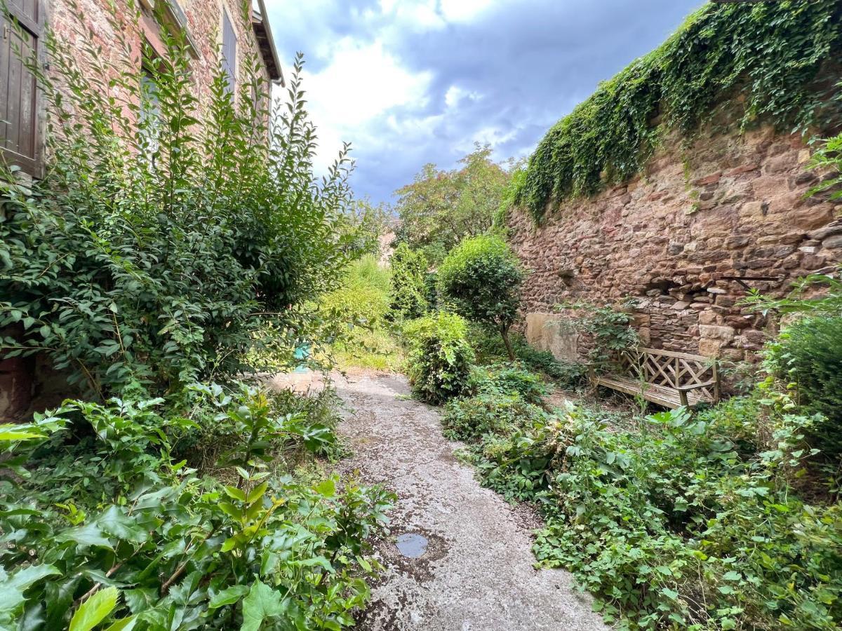 Le Place Du Bourg Appartement T2 Centre Historique Rodez Eksteriør billede